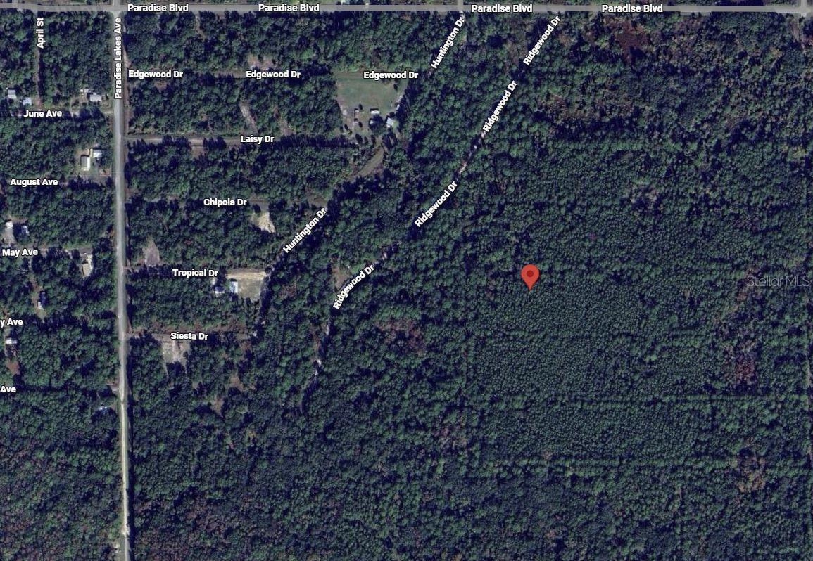 Image 2 of 2 For 307 Tropical Drive