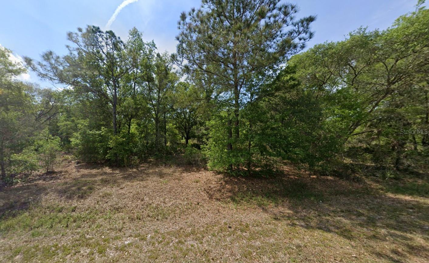 Details for 9920 Pink Moss Point, CRYSTAL RIVER, FL 34428