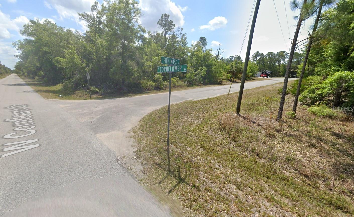 Image 4 of 5 For 9920 Pink Moss Point