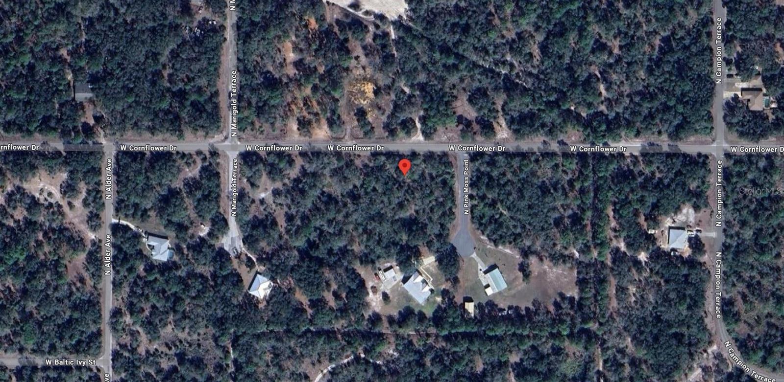 Image 5 of 5 For 9920 Pink Moss Point