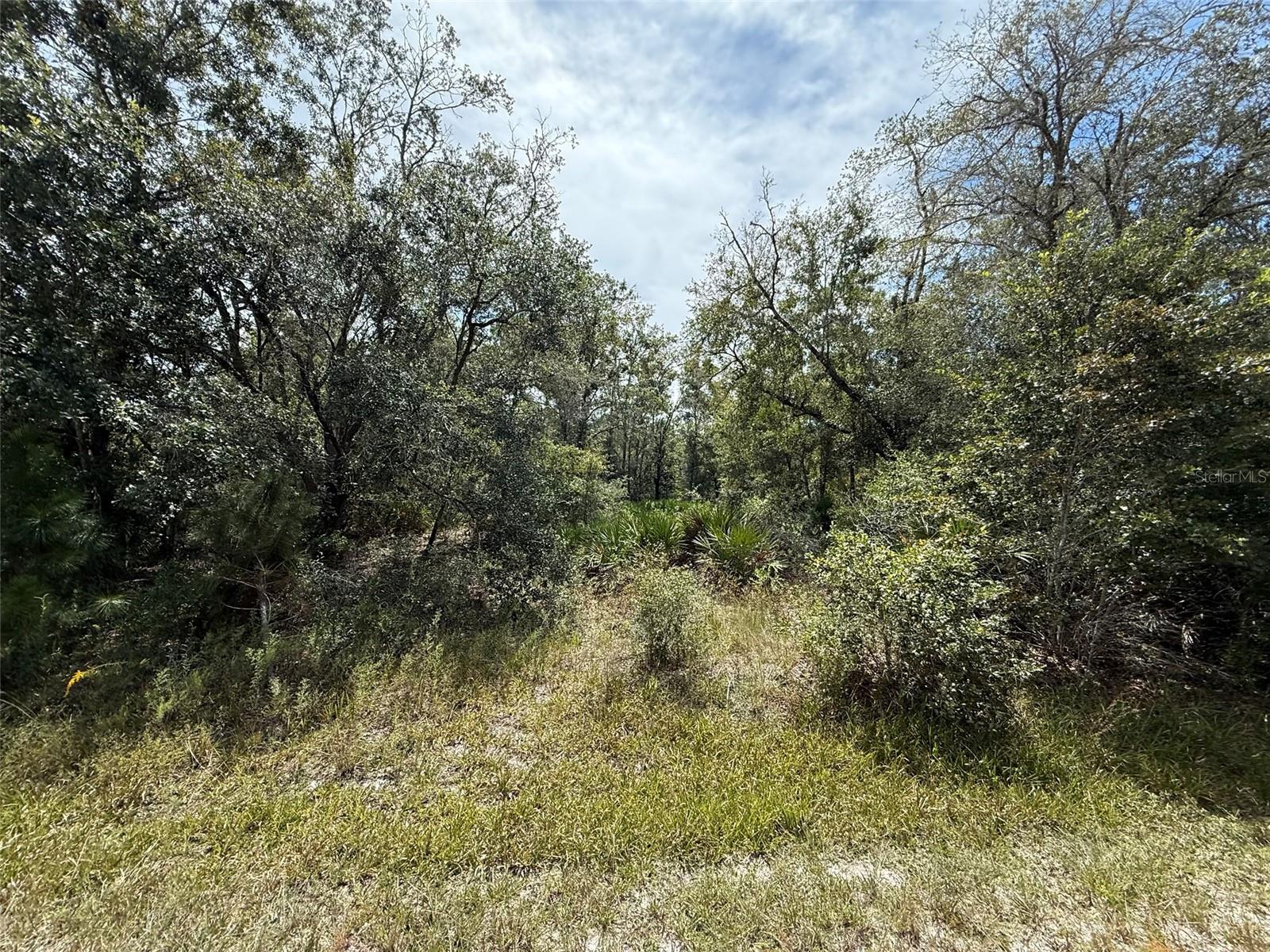 Image 6 of 13 For 9920 Pink Moss Point