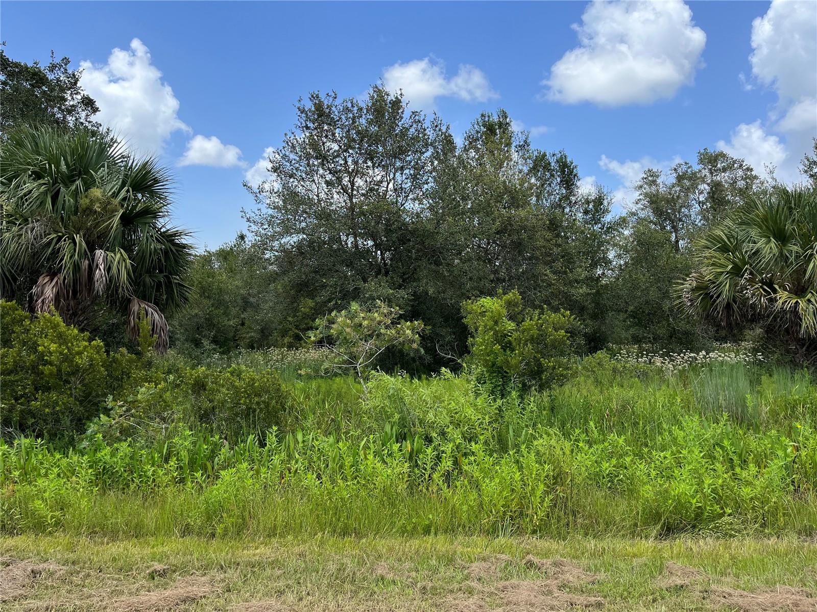 Details for 17915 290th Street, OKEECHOBEE, FL 34972