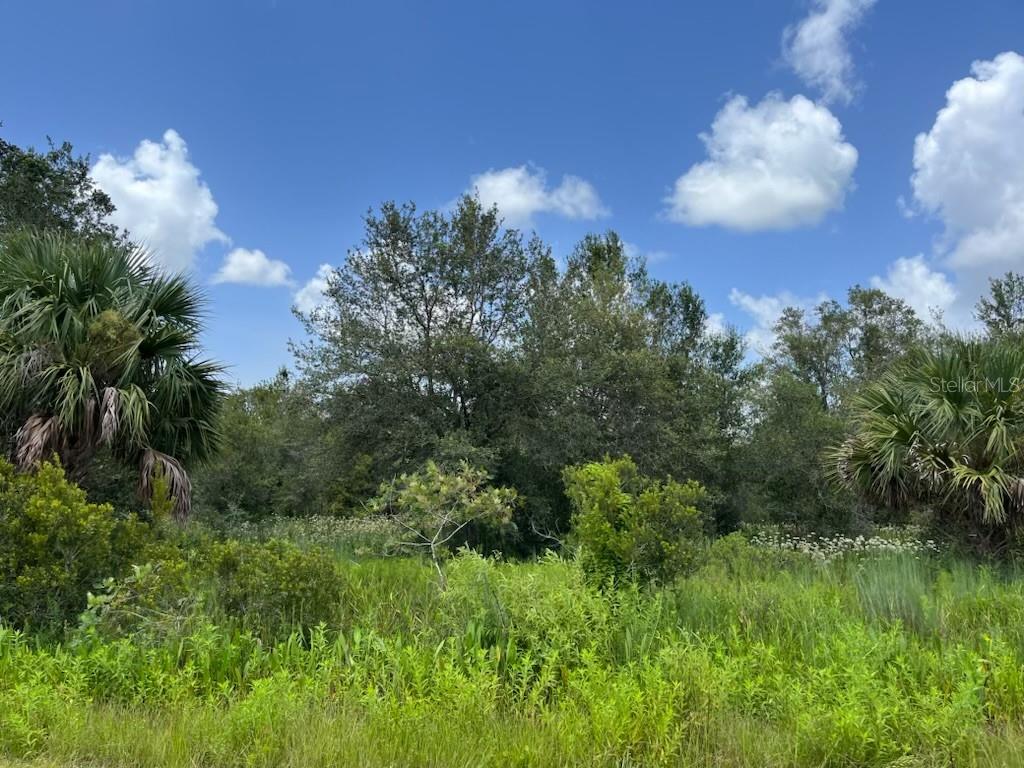 Image 10 of 16 For 17915 290th Street