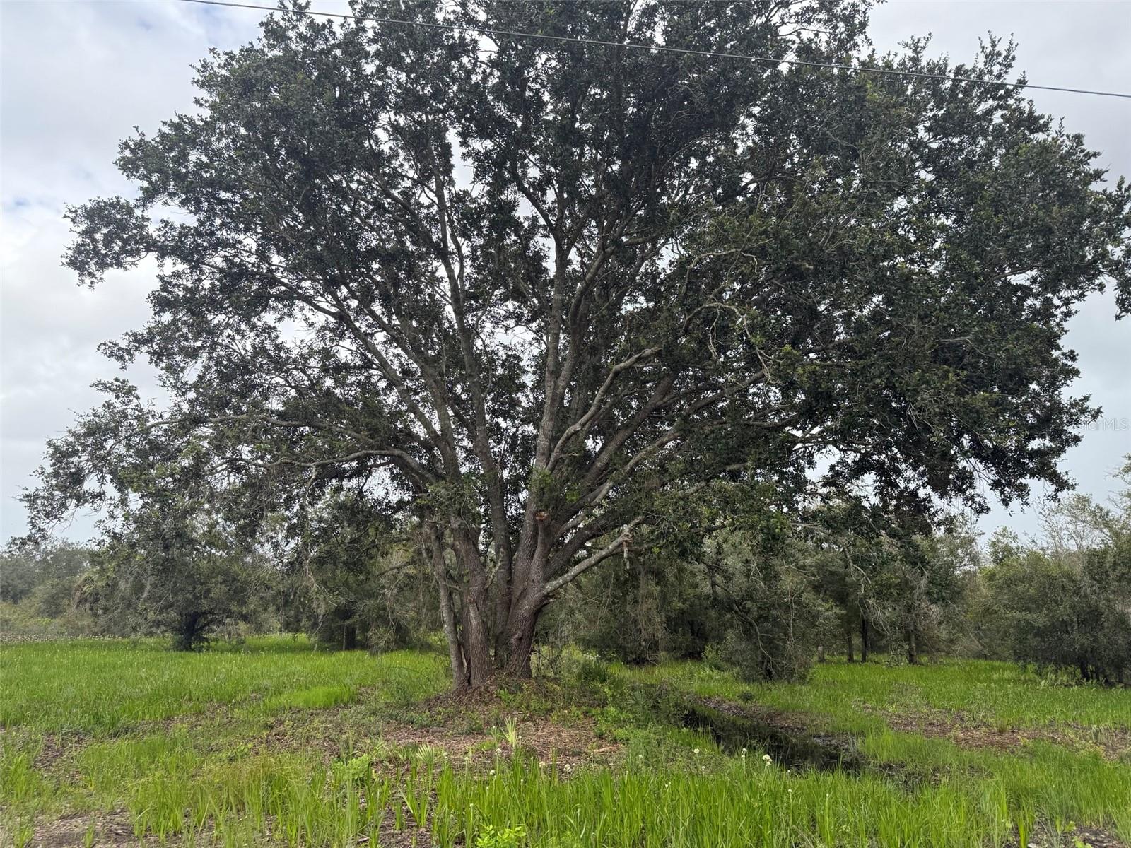 Image 16 of 16 For 17915 290th Street