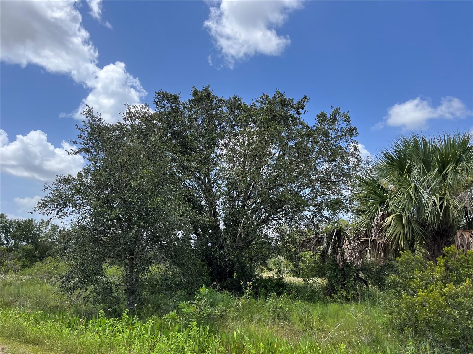 Image 5 of 16 For 17915 290th Street