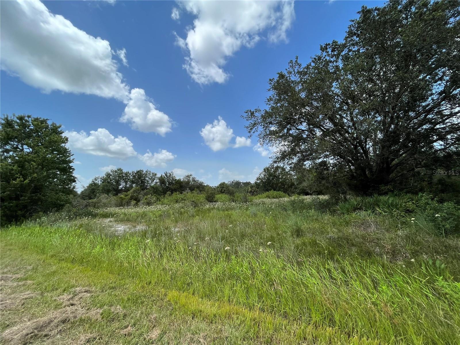 Image 6 of 16 For 17915 290th Street