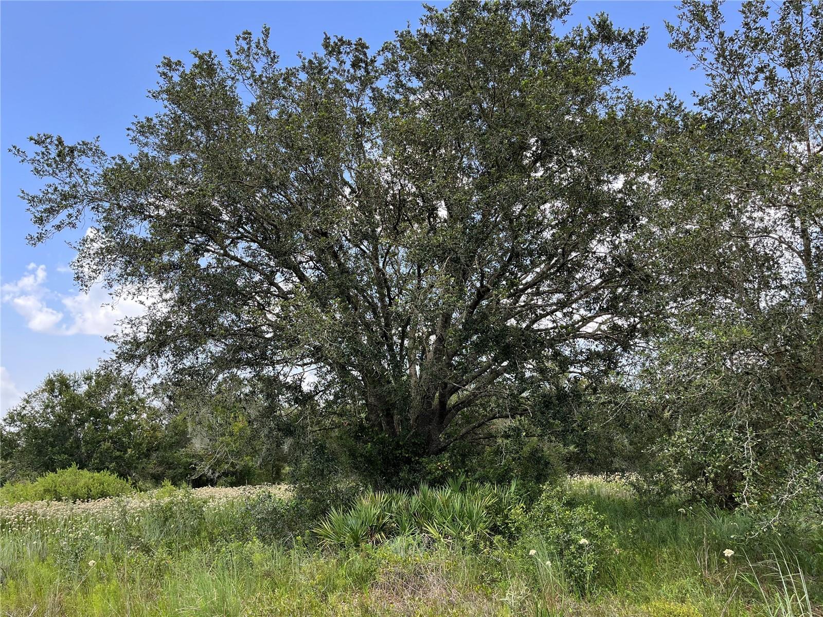 Image 7 of 16 For 17915 290th Street