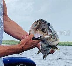 Image 20 of 20 For 15134 306th Street