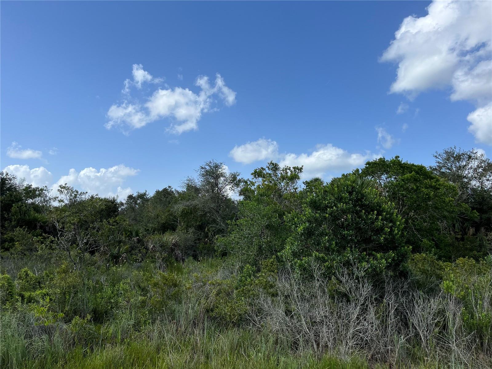 Image 2 of 9 For 15723 304th Street