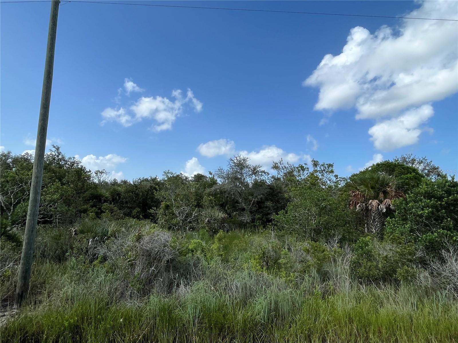 Image 6 of 9 For 15723 304th Street