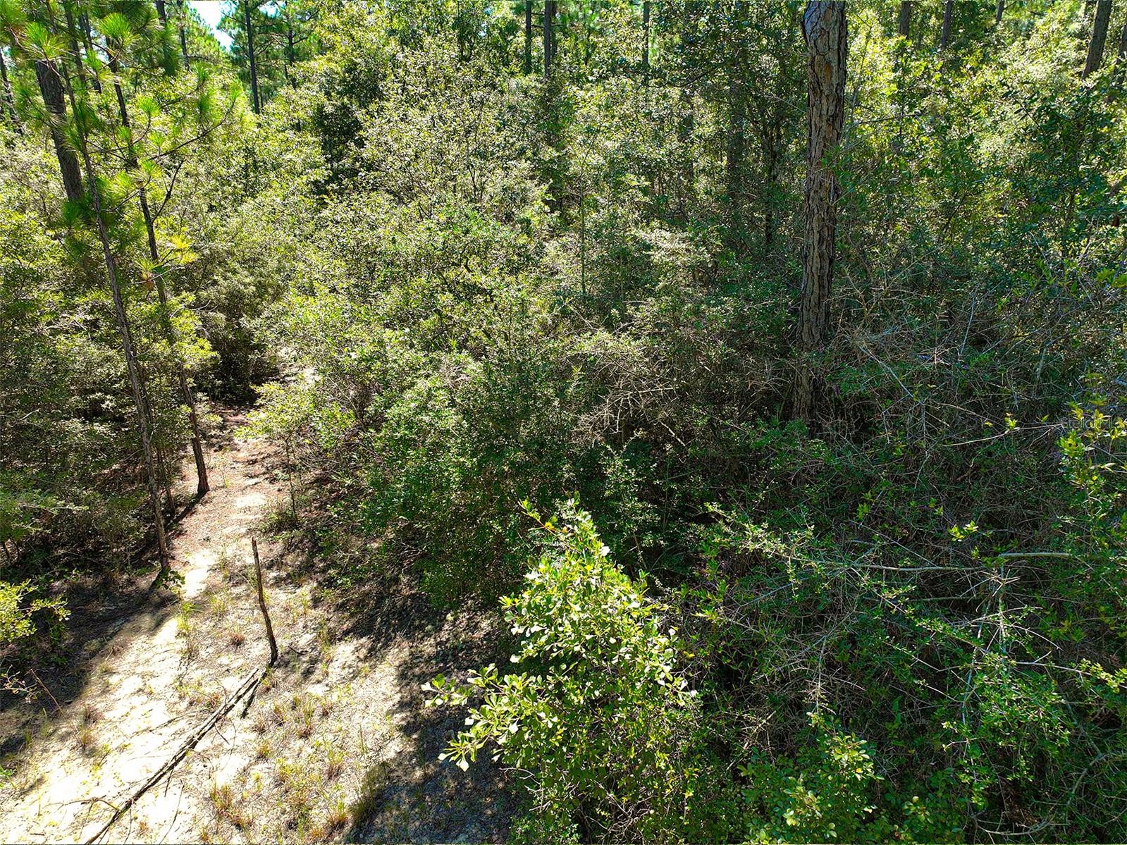 Image 4 of 9 For Chapel Road E