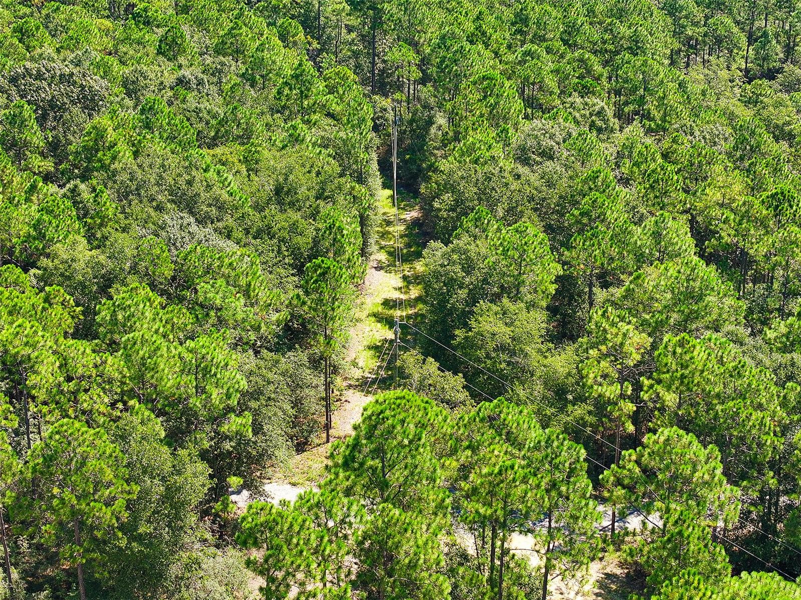 Image 5 of 9 For Chapel Road E