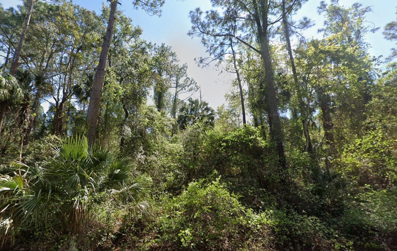 Details for 303 Siesta Drive, GEORGETOWN, FL 32139