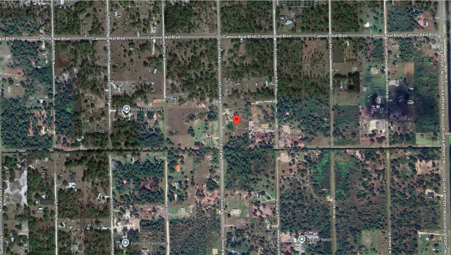 Image 8 of 11 For 225 Kennel Street