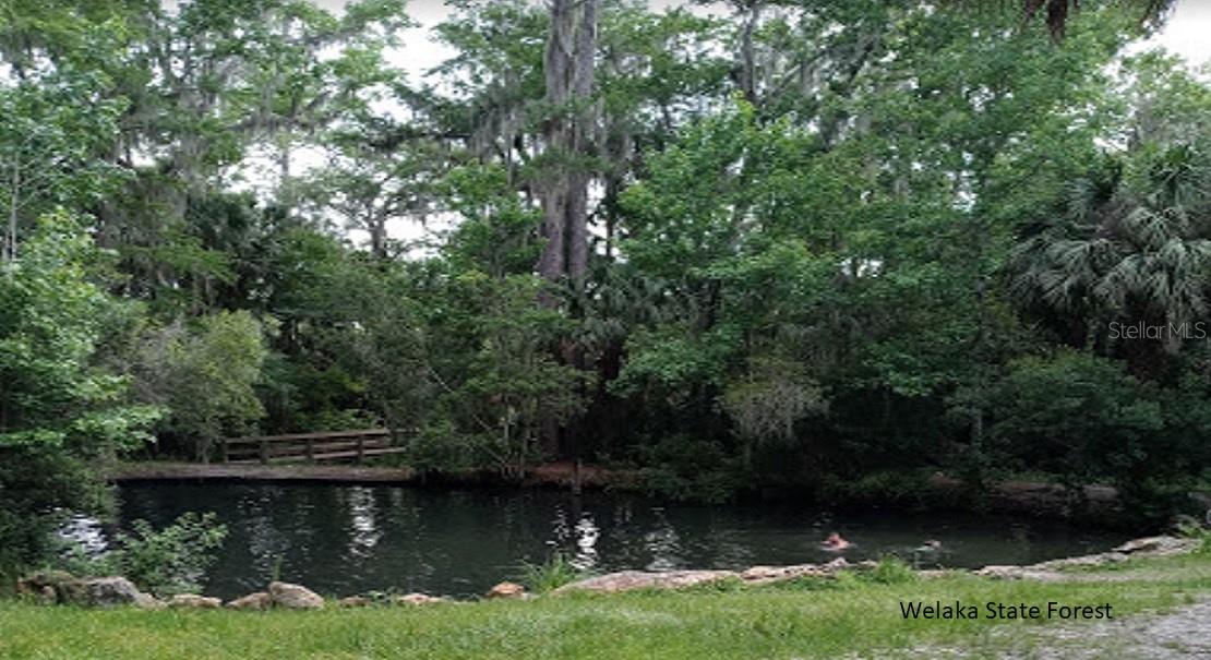 Image 4 of 7 For 240 Park  