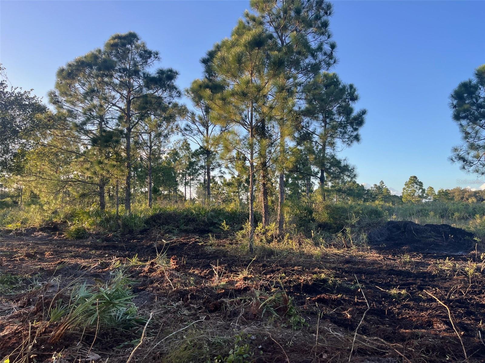 Details for 15417 310th Street, OKEECHOBEE, FL 34972
