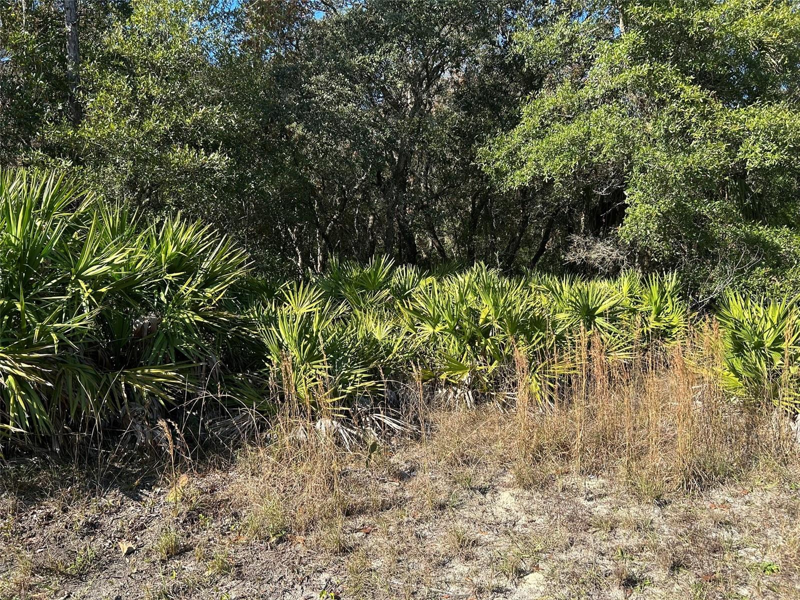 Image 7 of 8 For 632 Dunkenfield Avenue