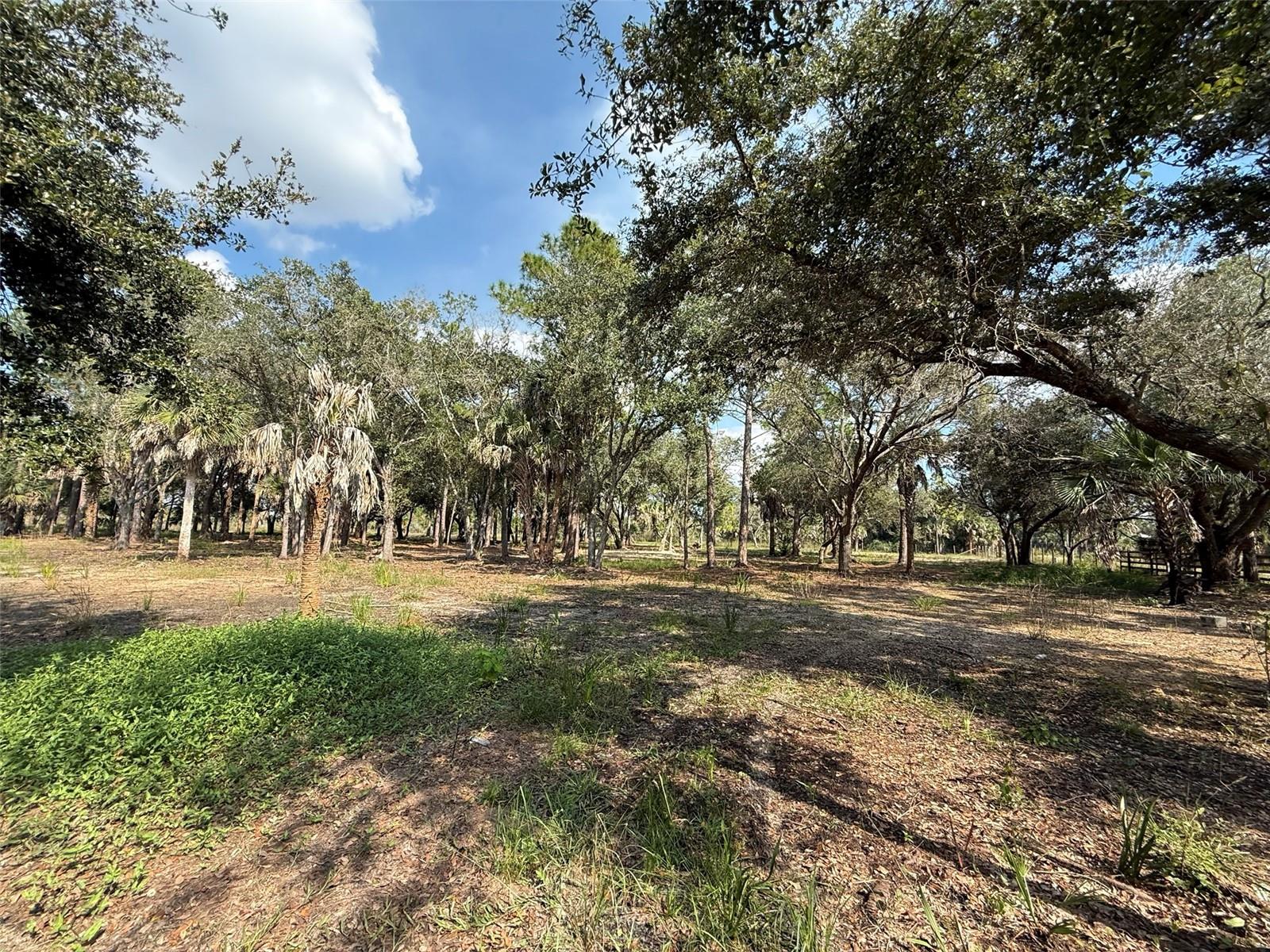 Image 12 of 24 For 15838 312th Street
