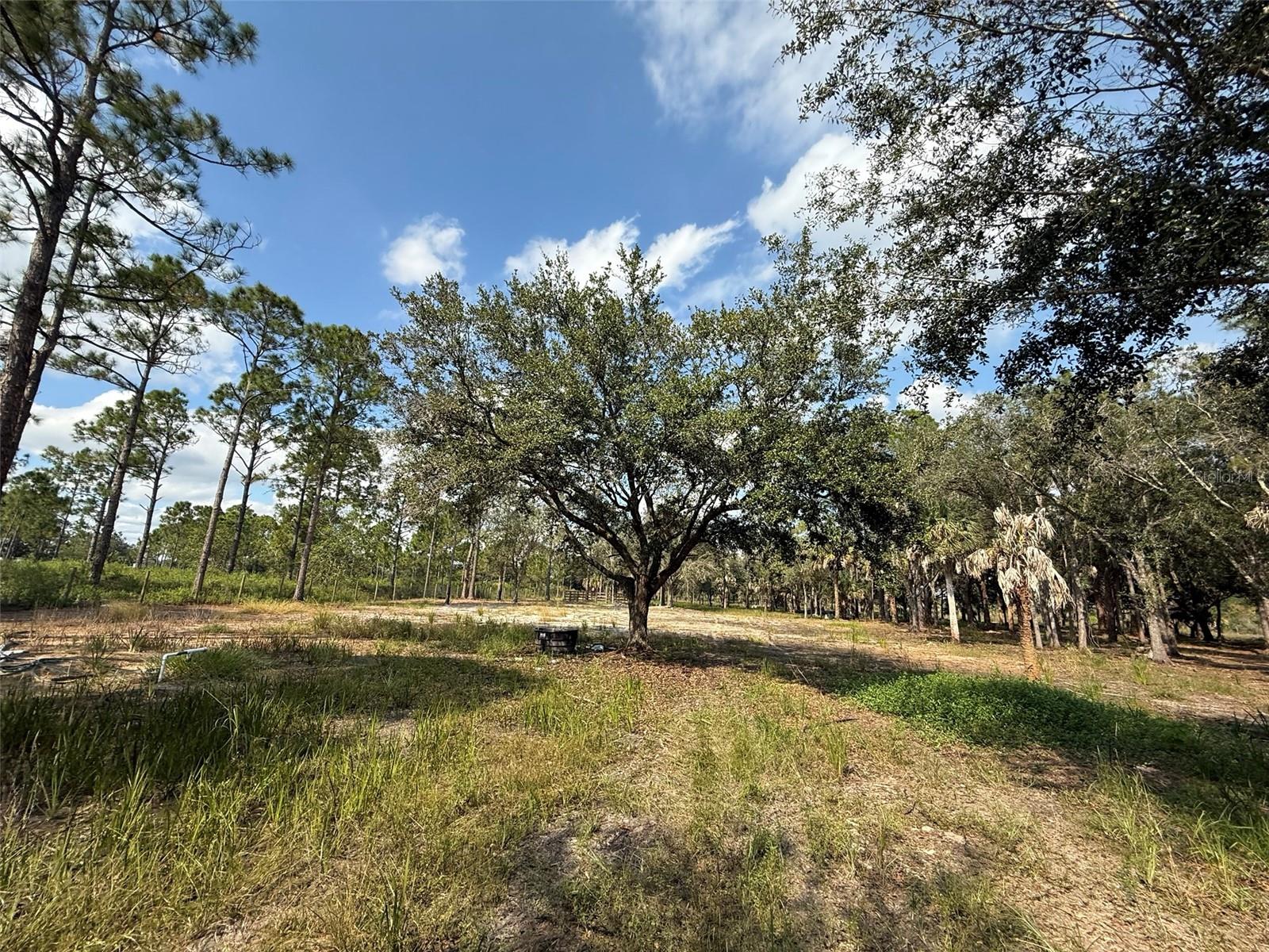Image 13 of 24 For 15838 312th Street