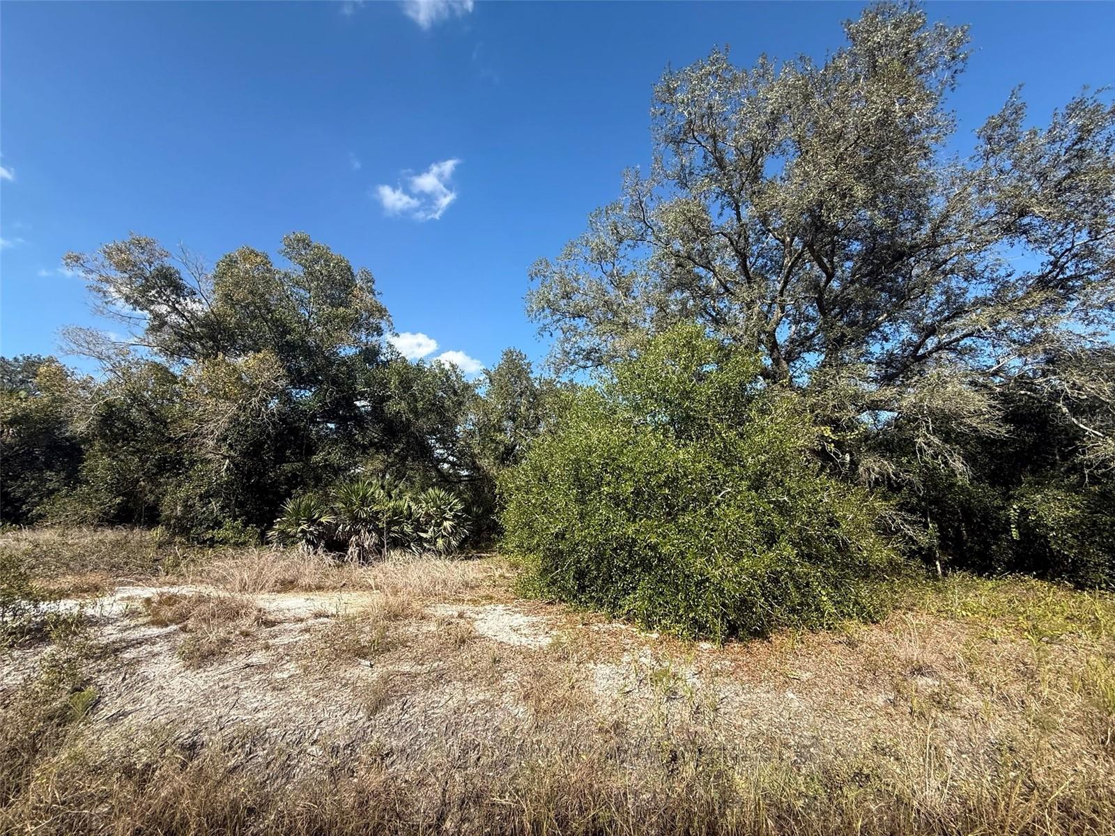 Image 7 of 13 For 17129 286th Street