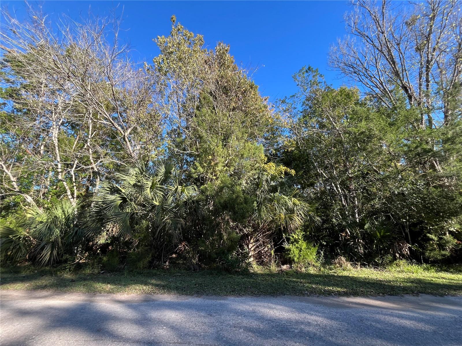 Image 4 of 5 For 9667 Lotus Point