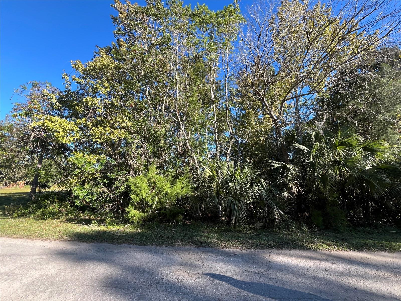 Image 5 of 5 For 9667 Lotus Point