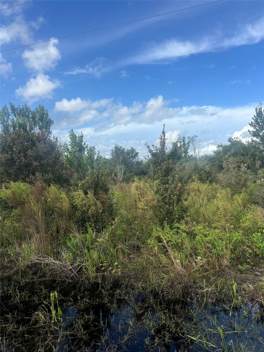 Image 2 of 2 For 19089 282nd Street