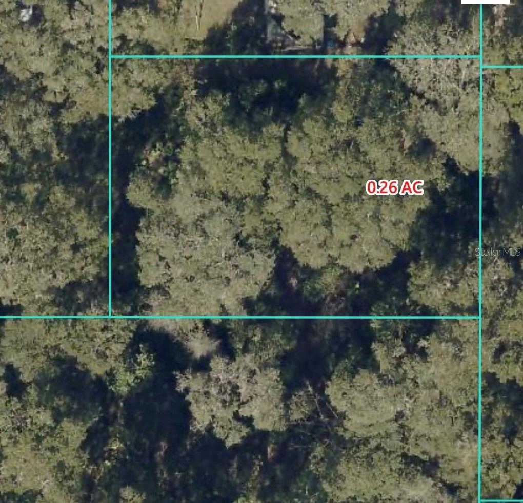 Listing Details for 14383 42nd Terrace, OCALA, FL 34491