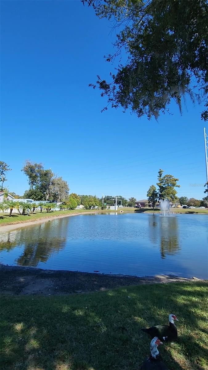 Image 11 of 36 For 9801 Oaks Street