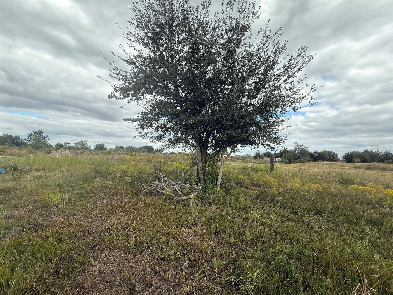 Image 4 of 22 For 18677 270th Street