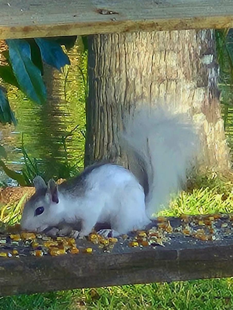 Image 18 of 54 For 1025 Roberts Lane