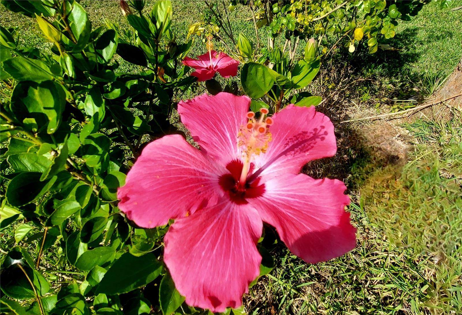 Image 26 of 54 For 1025 Roberts Lane