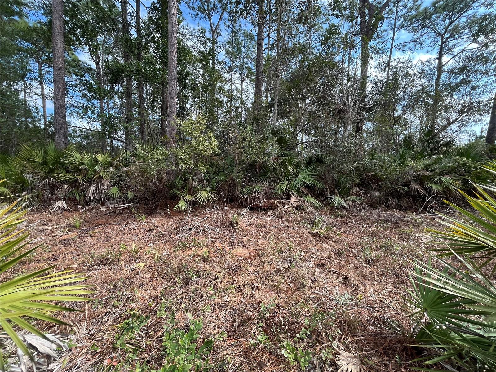 Image 3 of 10 For 206 Royal Avenue