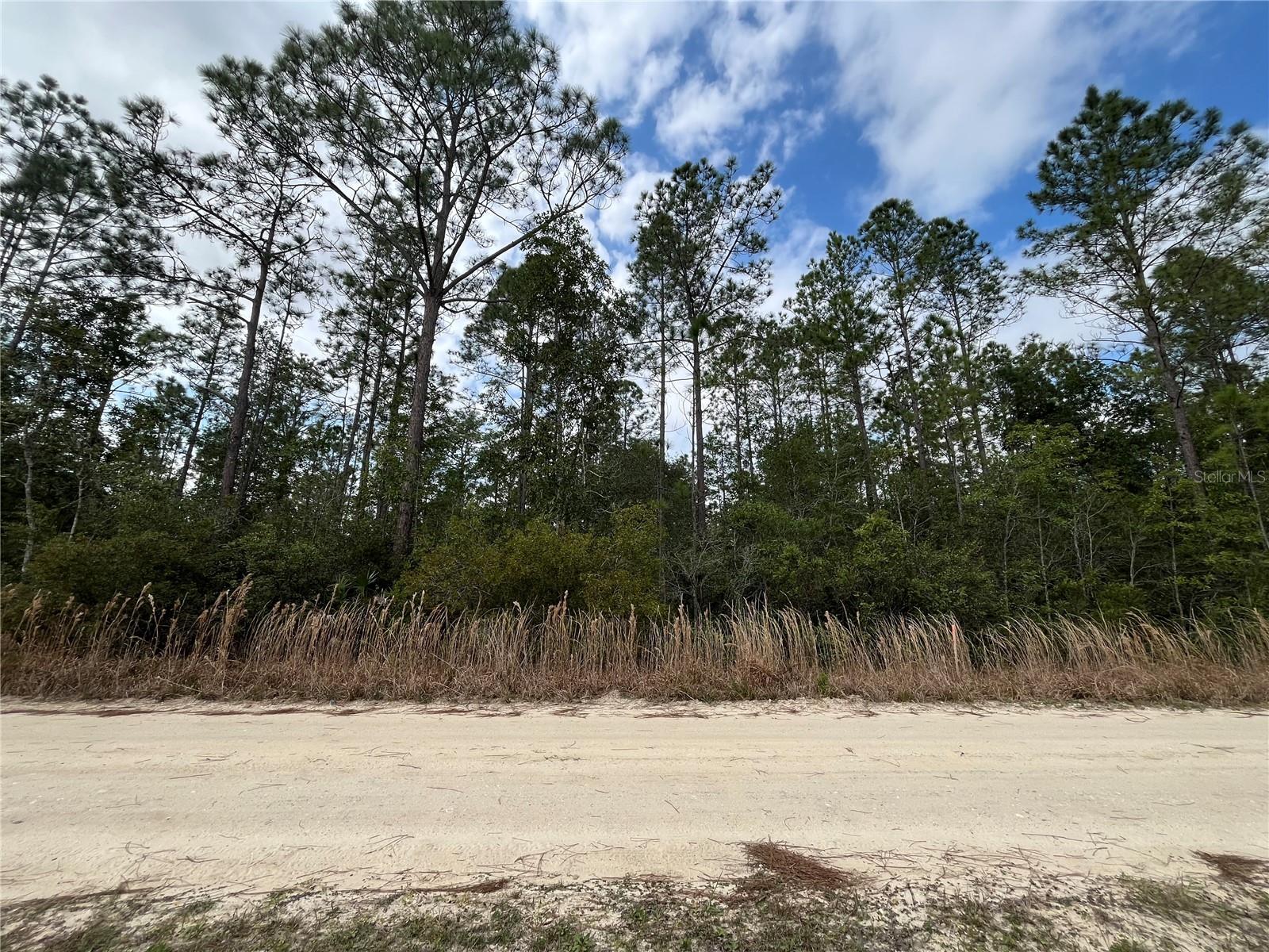 Details for 215 Royal Avenue, INTERLACHEN, FL 32148