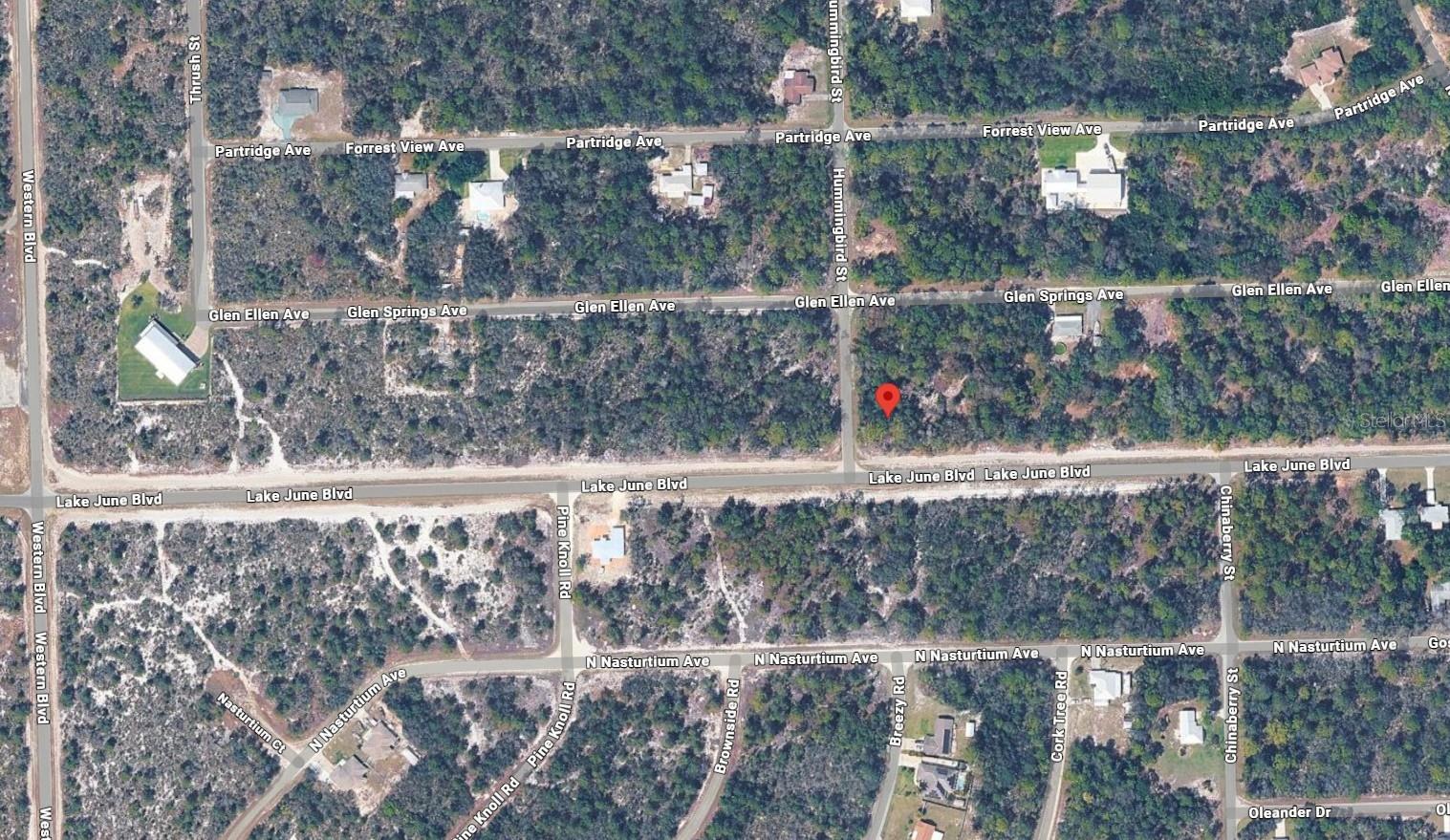 Image 4 of 4 For 1001 Hummingbird Street