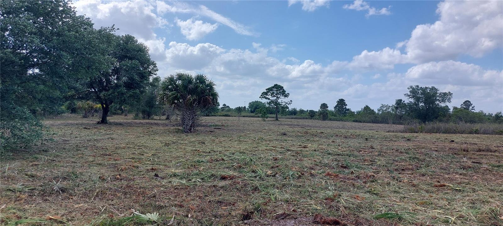 Image 5 of 16 For 17065 306th Street