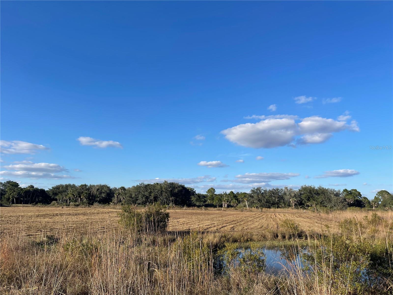 Image 3 of 16 For 15729 278th Street