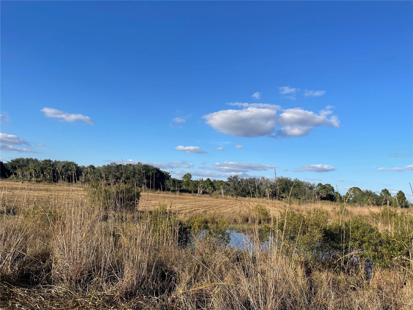 Image 4 of 16 For 15729 278th Street