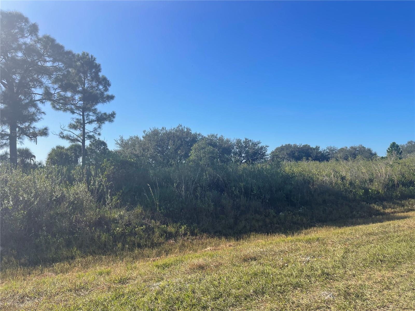 Image 5 of 16 For 15729 278th Street