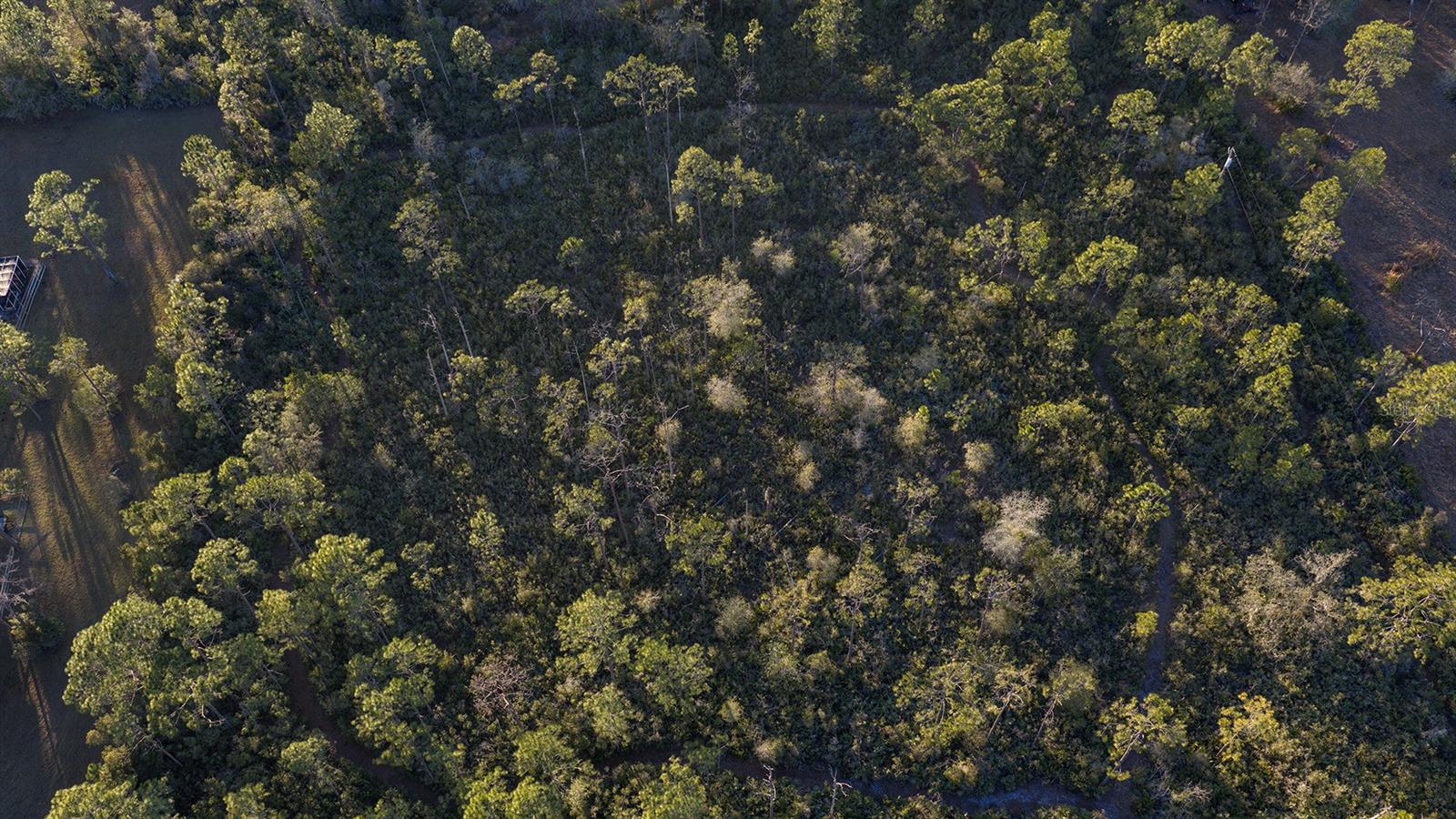 Image 10 of 32 For 32801 Hwy 441 N 30