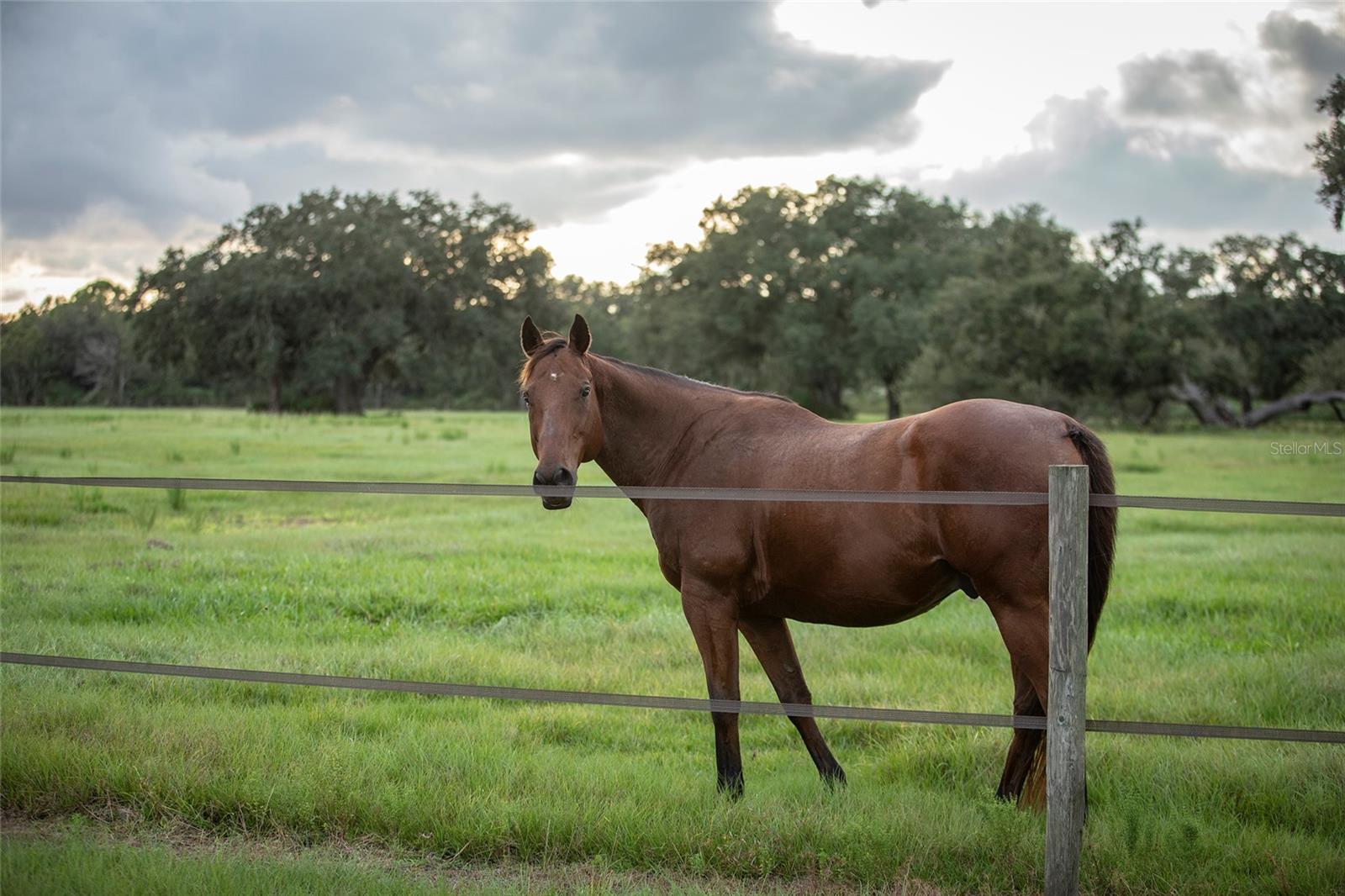 Image 22 of 32 For 32801 Hwy 441 N 30