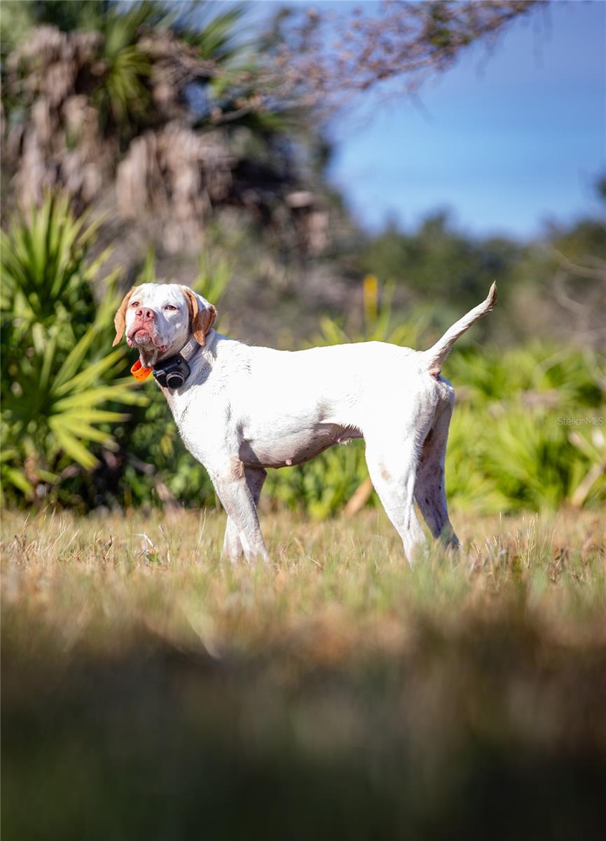 Image 32 of 32 For 32801 Hwy 441 N 30