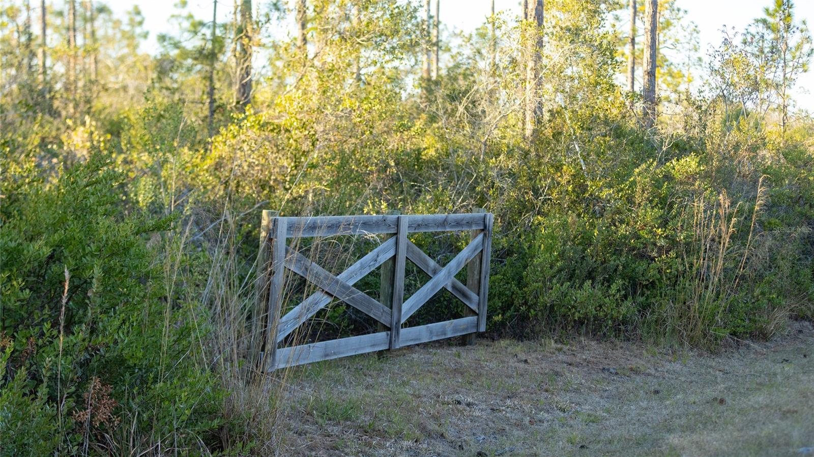 Image 6 of 32 For 32801 Hwy 441 N 30