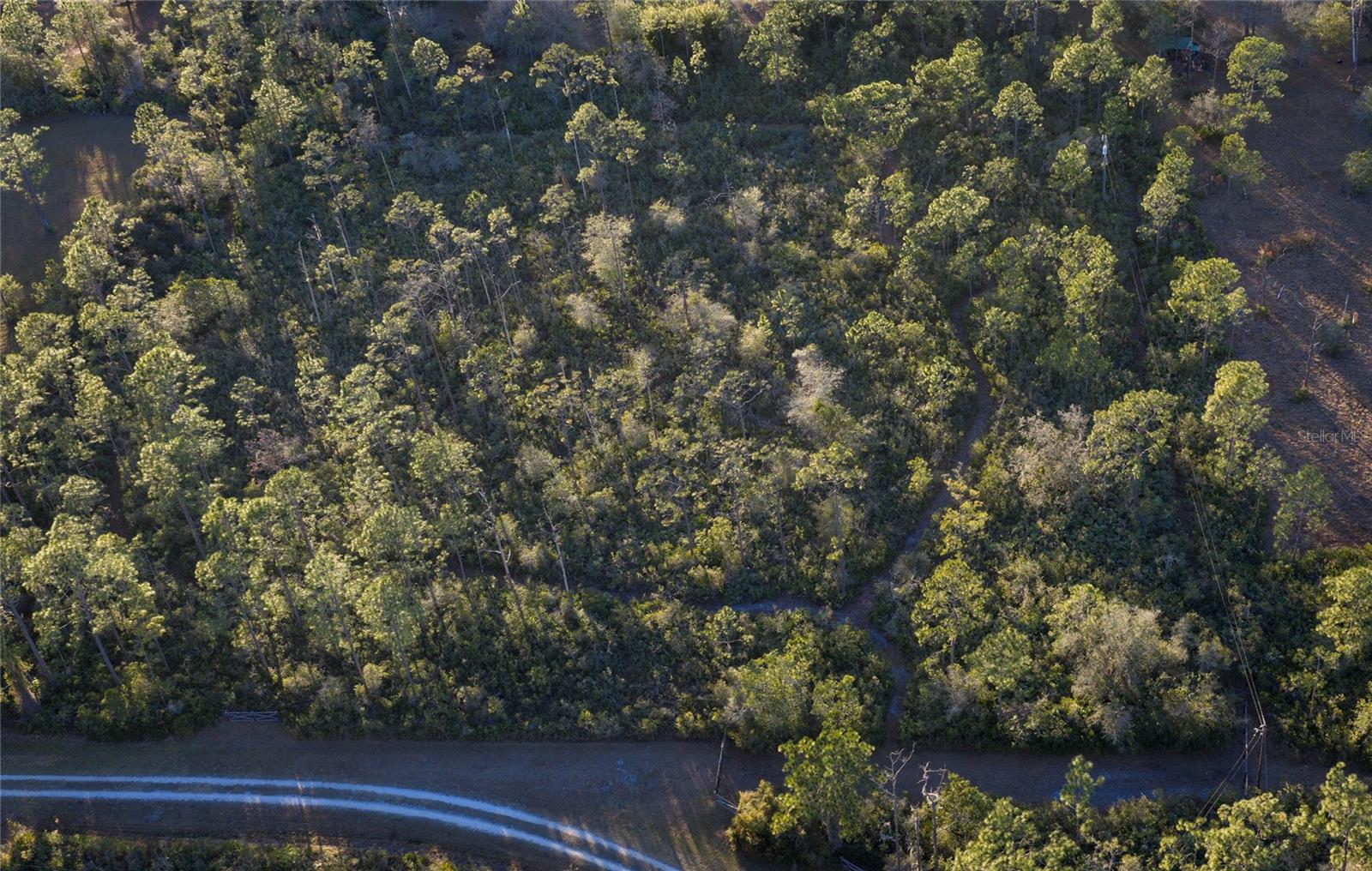 Image 8 of 32 For 32801 Hwy 441 N 30