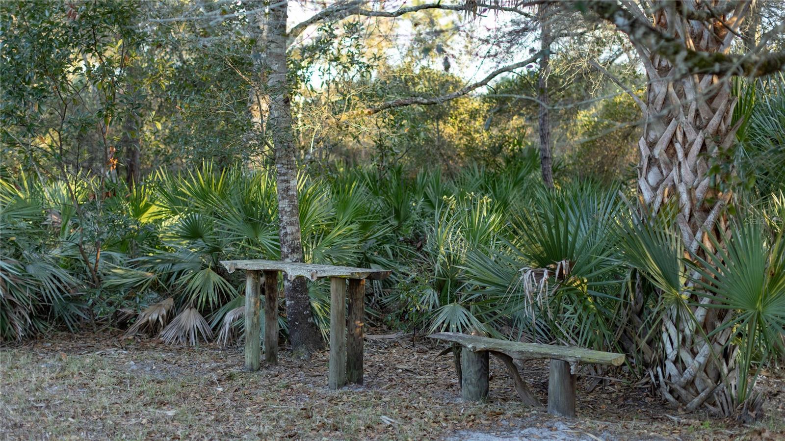 Image 12 of 50 For 32801 Hwy 441 N 250