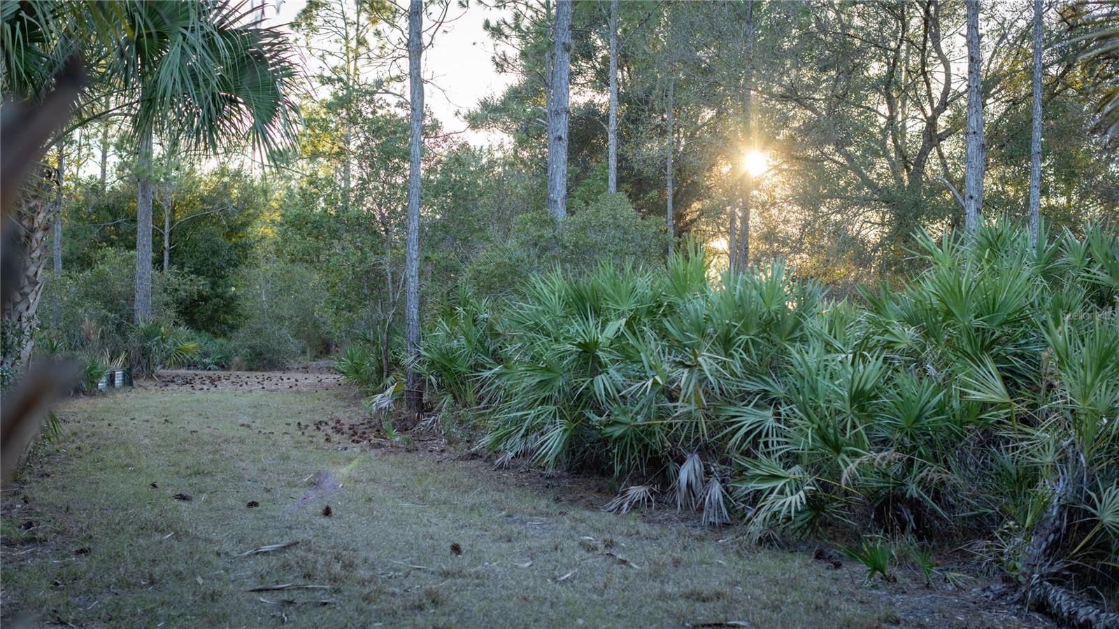 Image 14 of 50 For 32801 Hwy 441 N 250