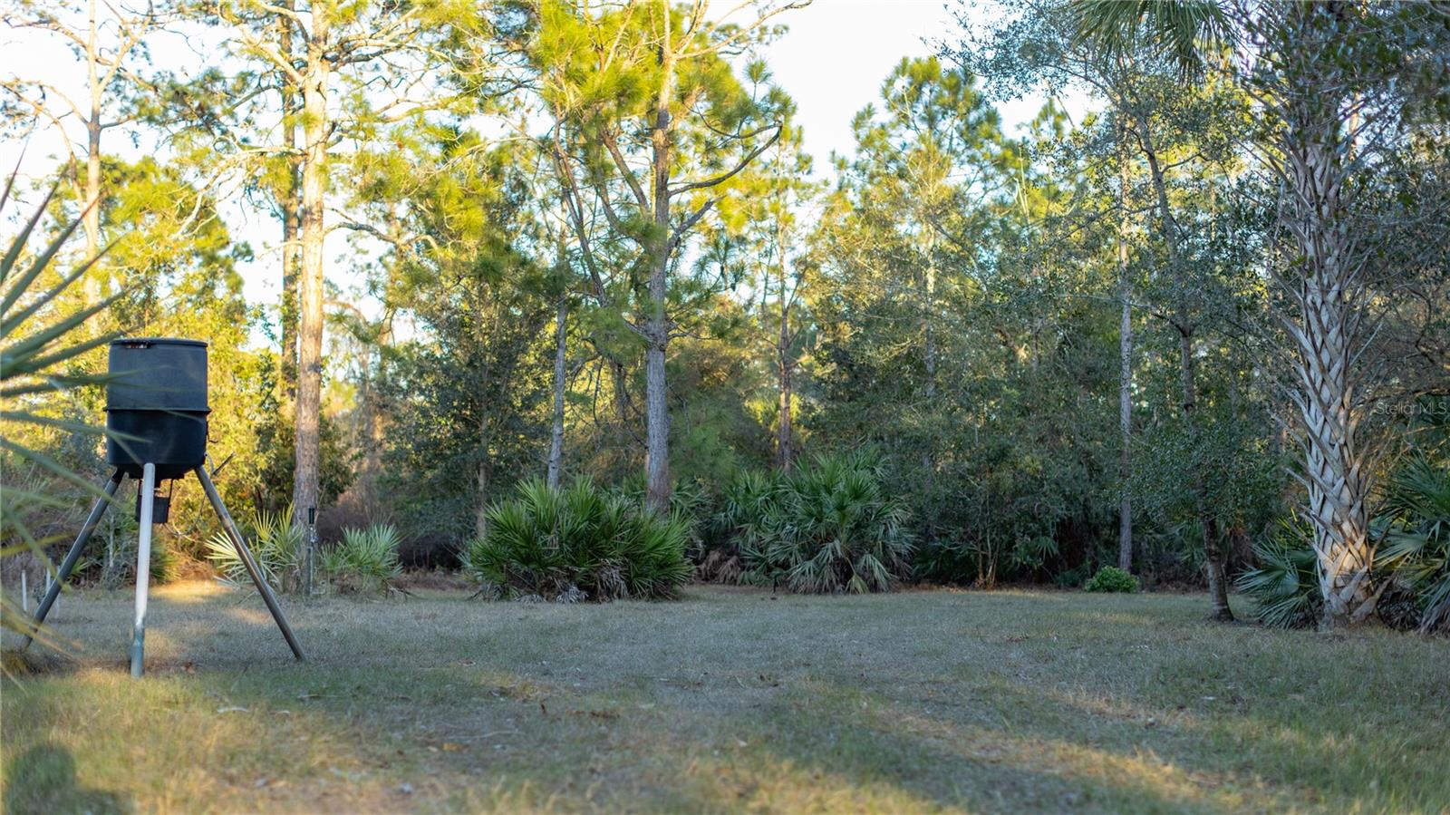 Image 15 of 50 For 32801 Hwy 441 N 250