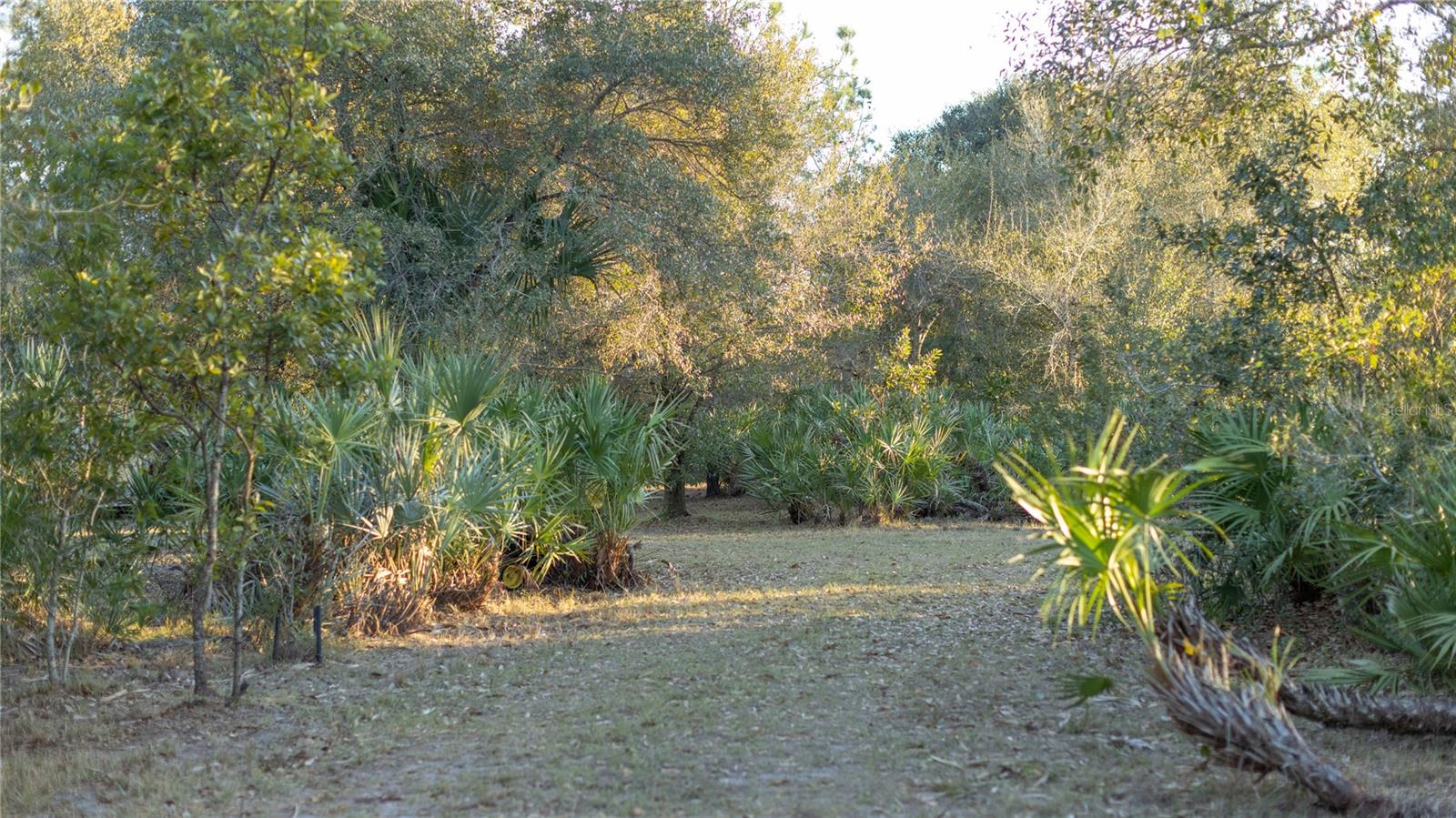 Image 16 of 50 For 32801 Hwy 441 N 250