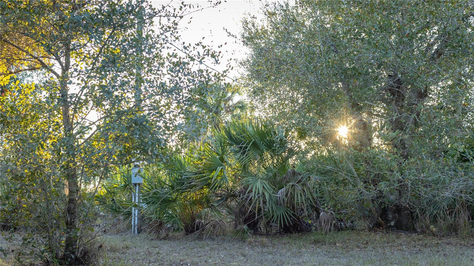 Image 19 of 50 For 32801 Hwy 441 N 250