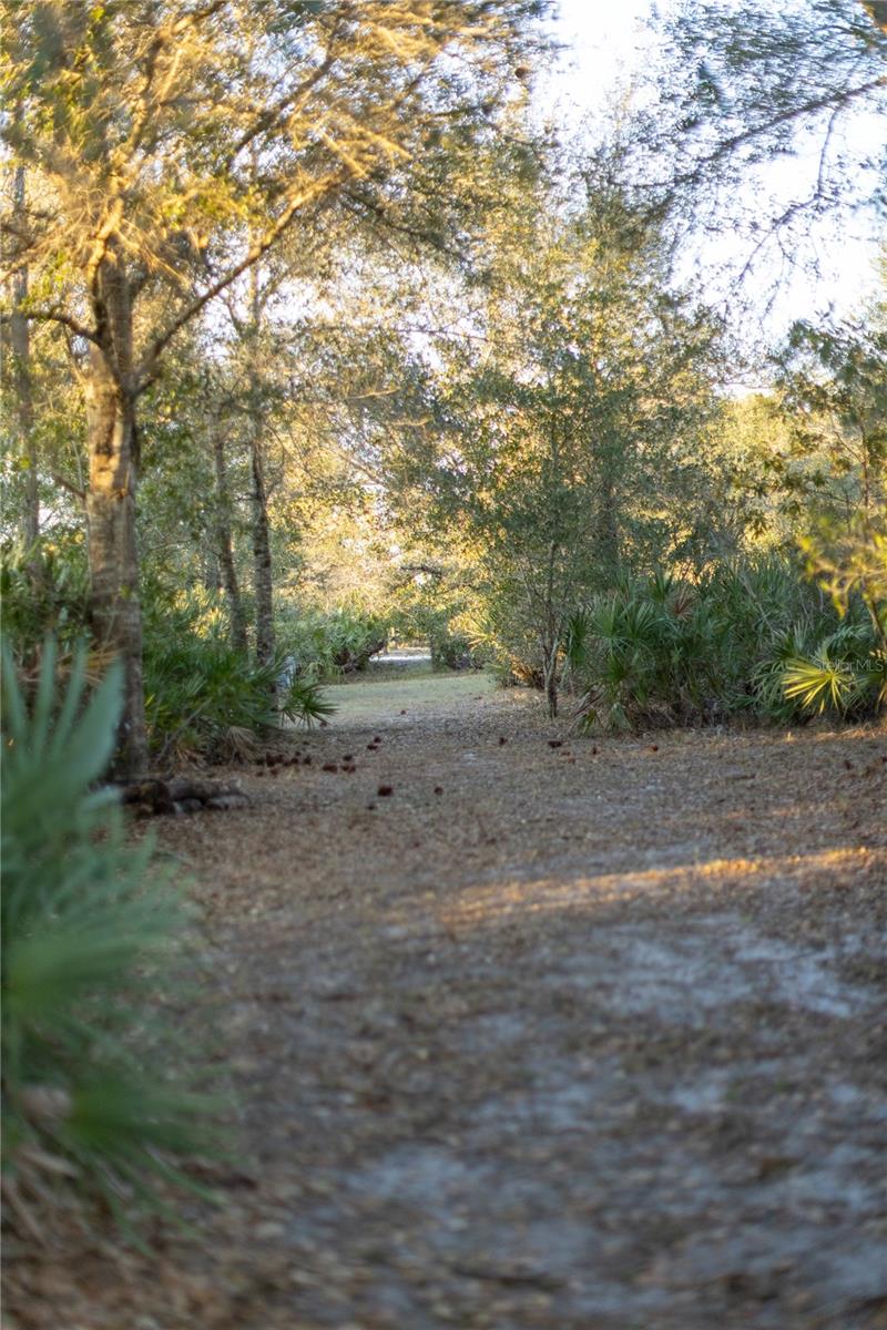 Image 2 of 50 For 32801 Hwy 441 N 250